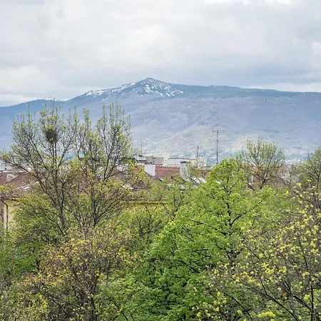 The Right Choice 12 * 索菲亞